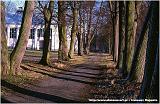 wisniowa [800x600]
